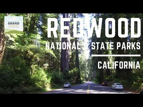 Ep. 53: Redwood National Park | California RV travel camping
