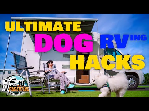 Do Dogs Like Traveling in an RV?