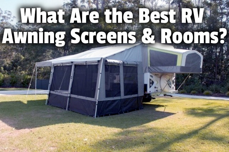 15 Best RV Awning Screen Rooms and Enclosures (2024 Reviews)